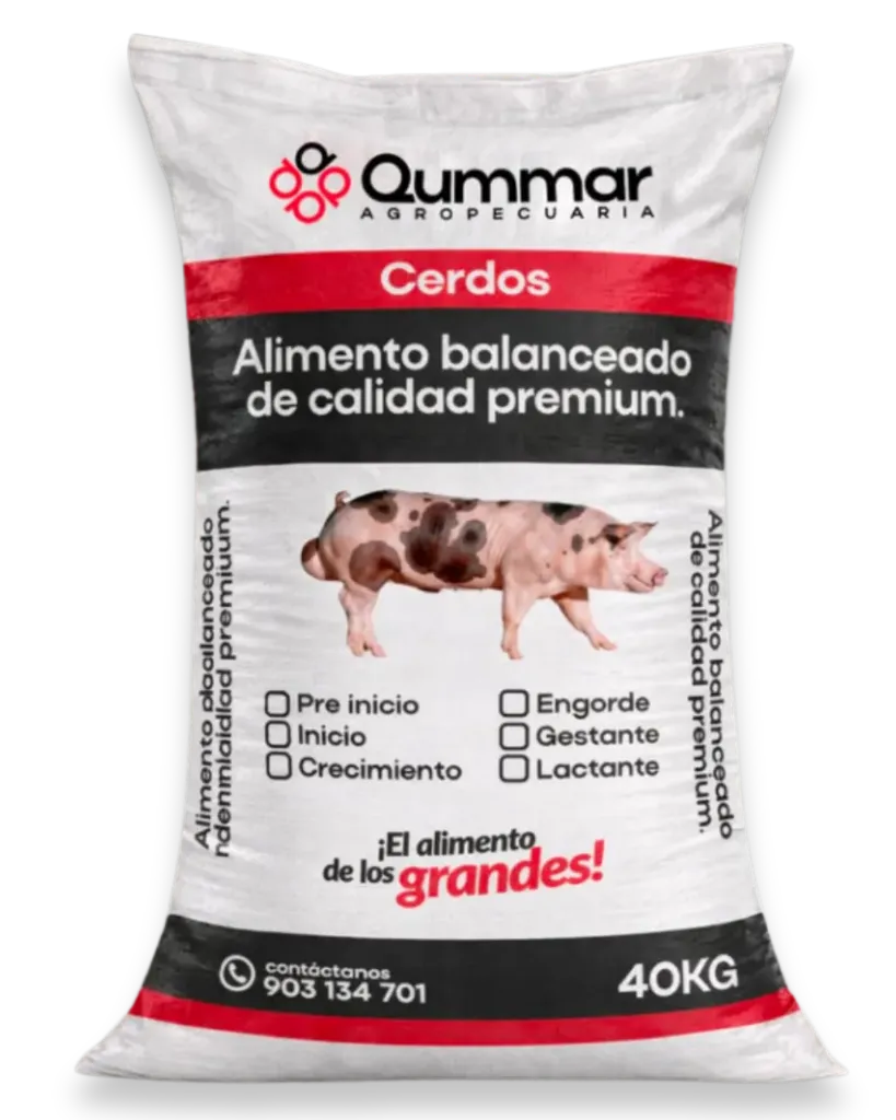 ENGORDE PREMIUM - CERDO